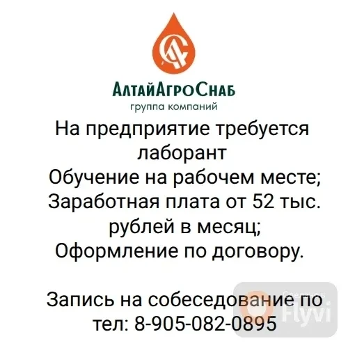 ⚡ Вакансия