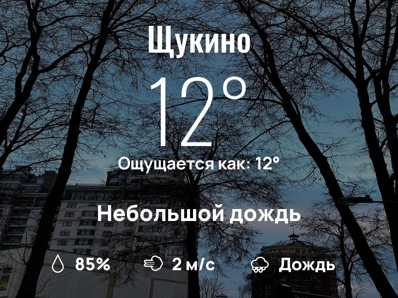 Что с погодой в Щукино?