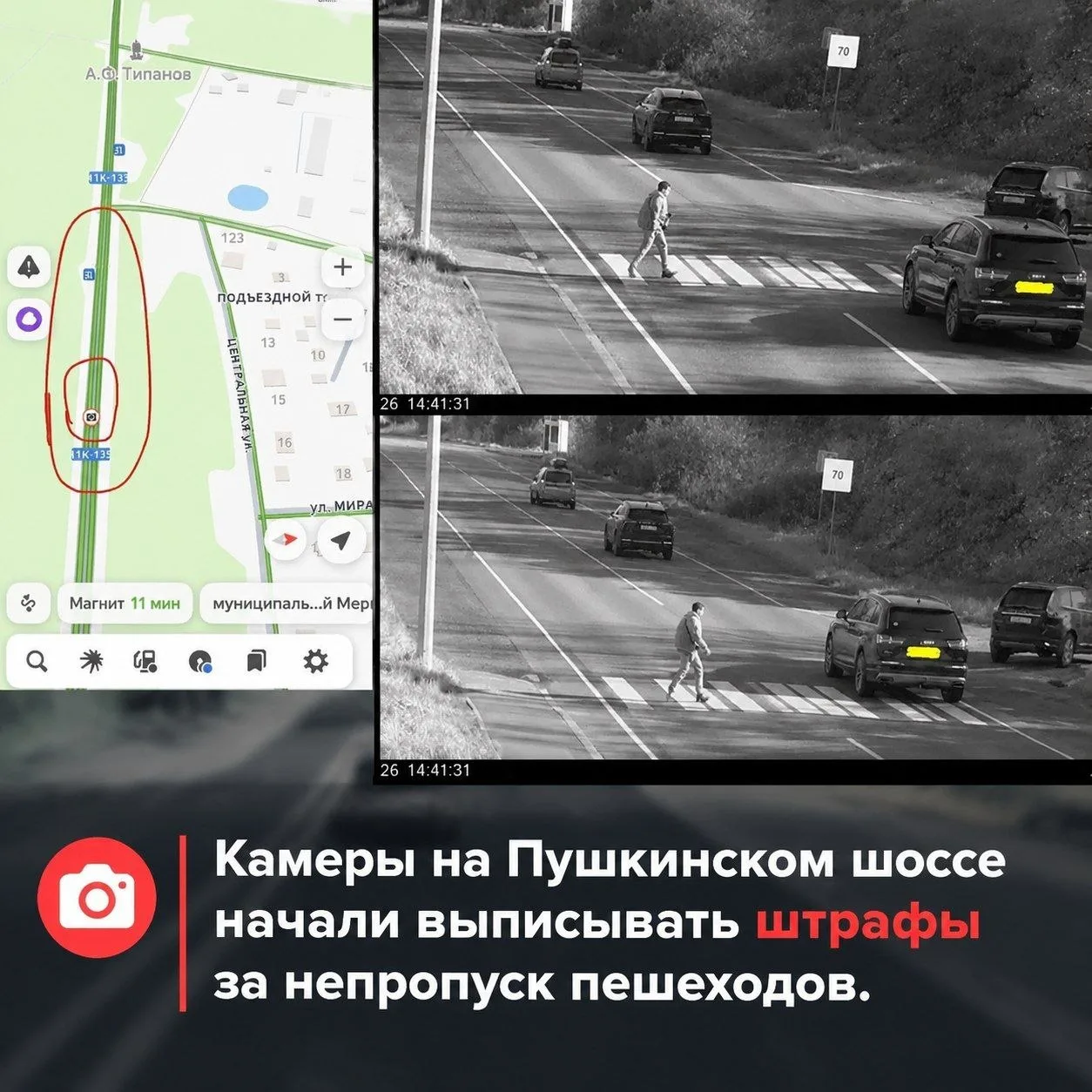 Камеры на Пушкинском шоссе начали выписывать штрафы за непропуск пешеходов.