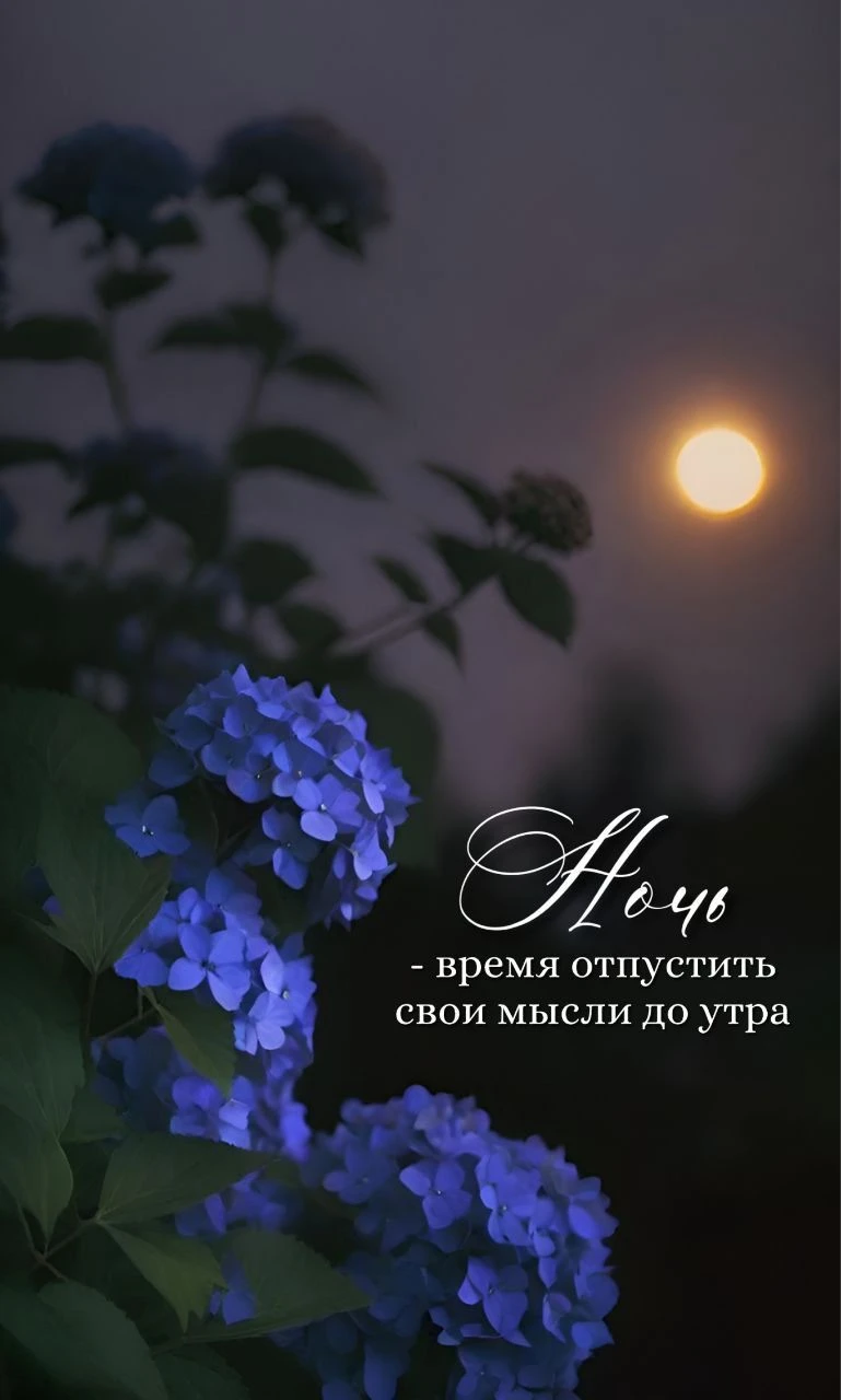 Подпишись 👇