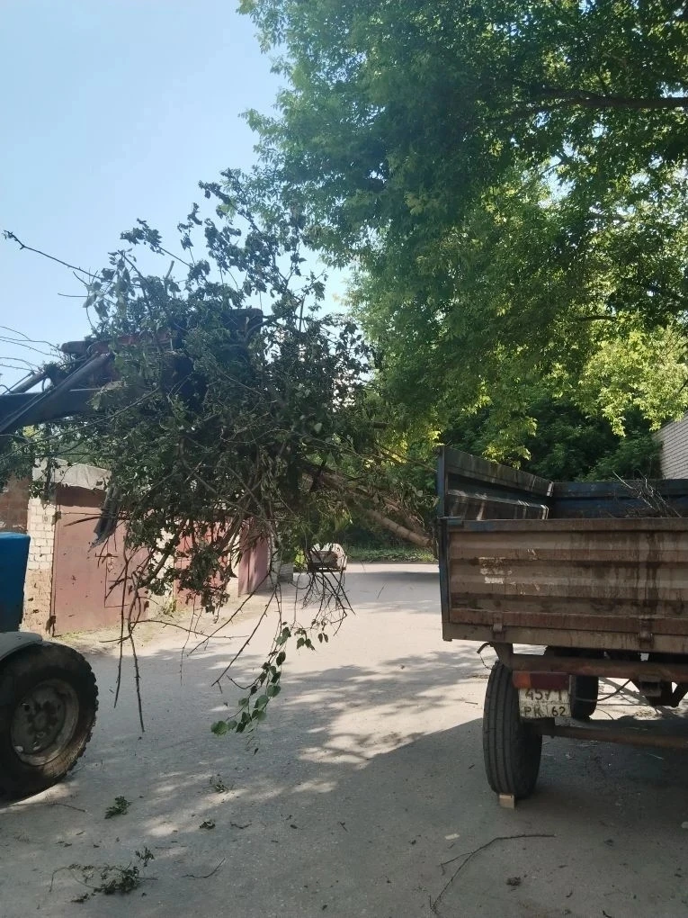 🌿Вывезли ветки по адресу ул. Типанова, 21