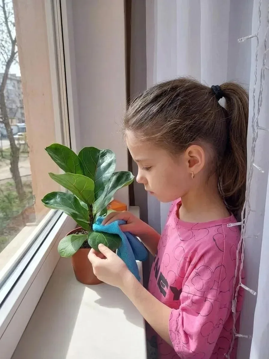 🌱 «Секреты комнатных растений»: наши юные Эколята спасают зеленых друзей.
В рамках ежегодного Всеро