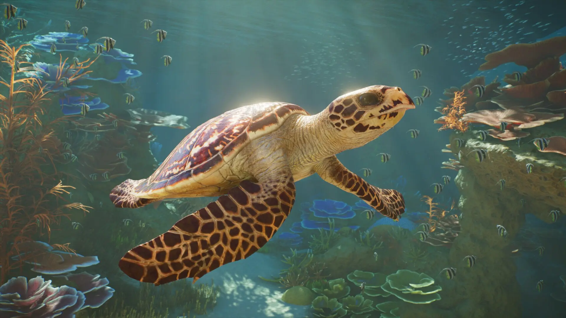 Состоялся анонс Planet Zoo 2

Независимая студия Frontier Developments анонсировала Planet Zoo 2 — п
