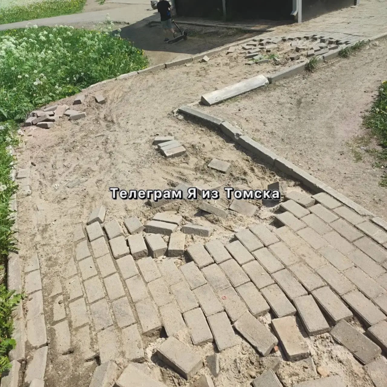 🗣ВашиНовости🗣

Тропинка к остановке «Бассейн» в Зелёных Горках уже несколько лет находится в разби
