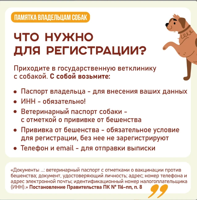 📣 А у вас дома живет собака? Тогда вам нужно ее зарегистрировать! ⁣ Процедура обязательна вне зависи