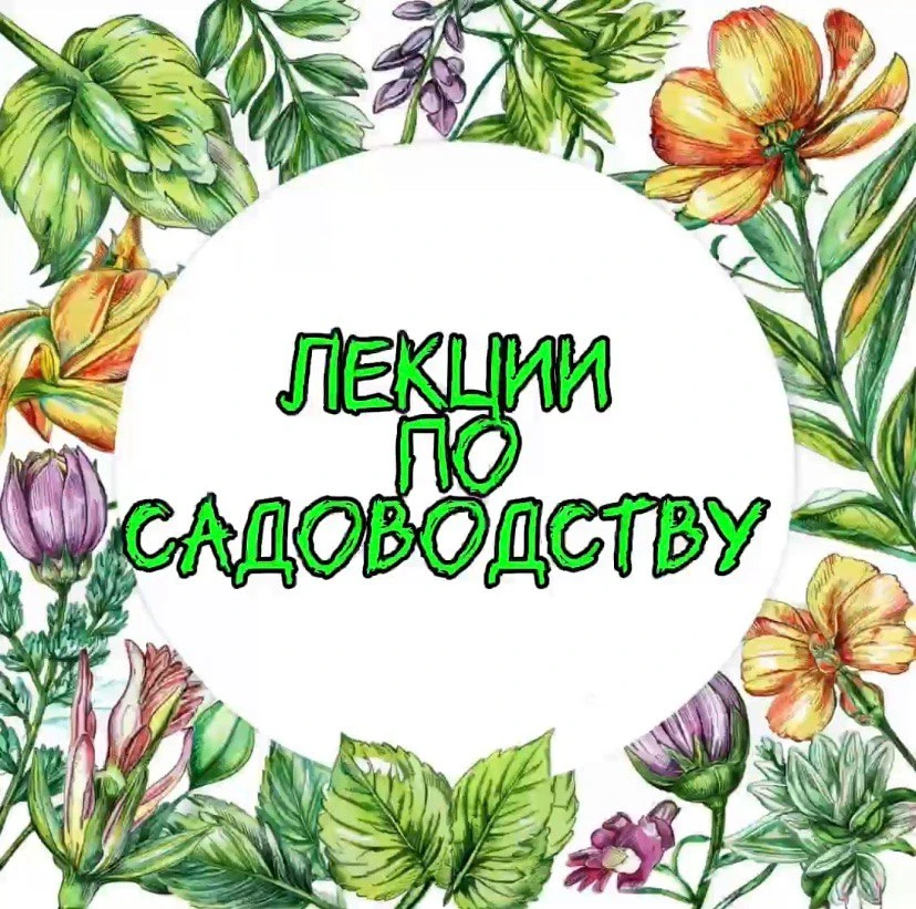 Друзья,  рады сообщить, что с ноября стартуют лекции по садоводству!