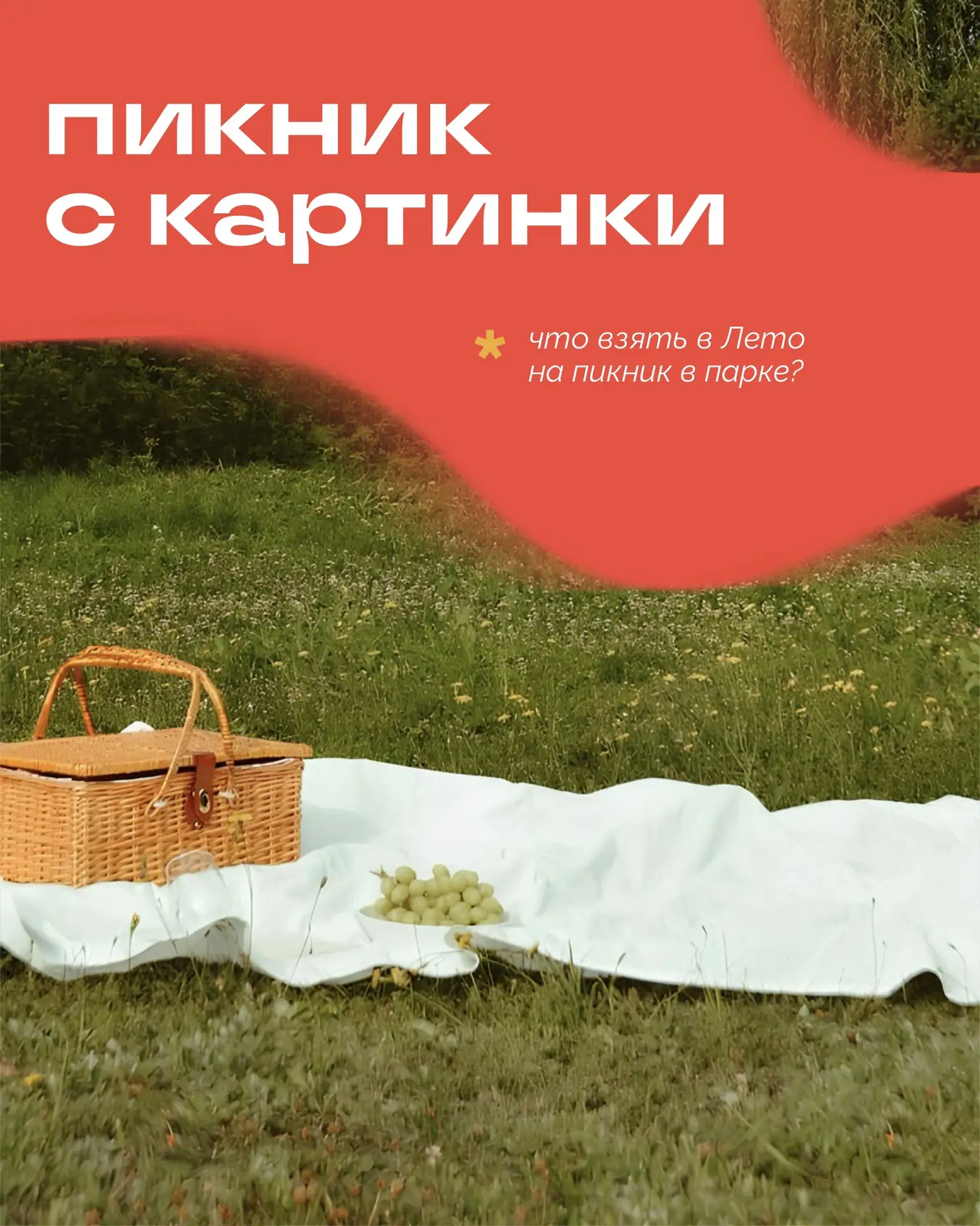 Лето — это ресторан на траве 😇
