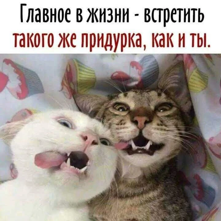 Изображение 1 к публикации «Юмор в картинках!»