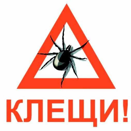 🌳 Осторожно, клещи!