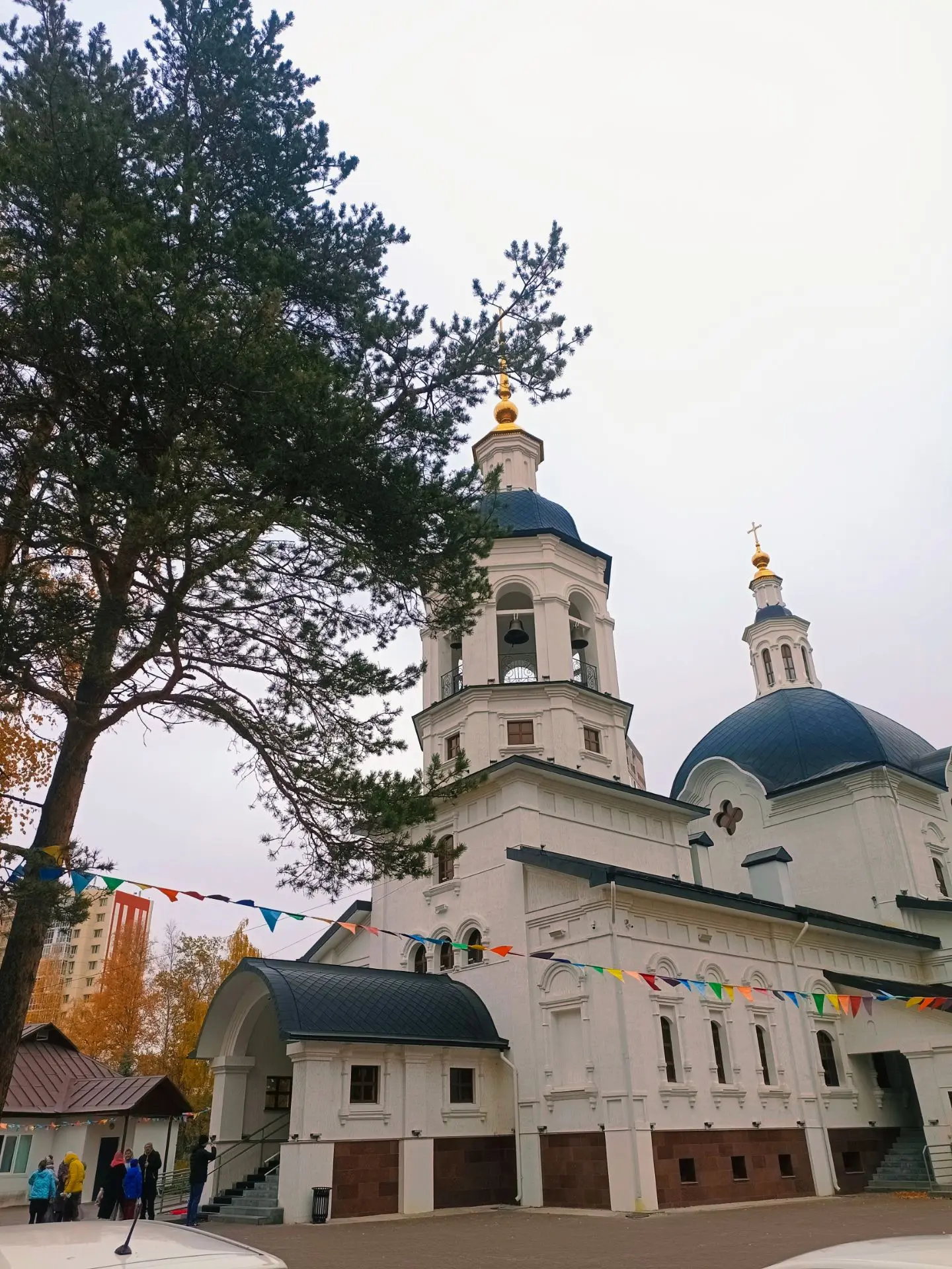 Прекрасное утро 🌿