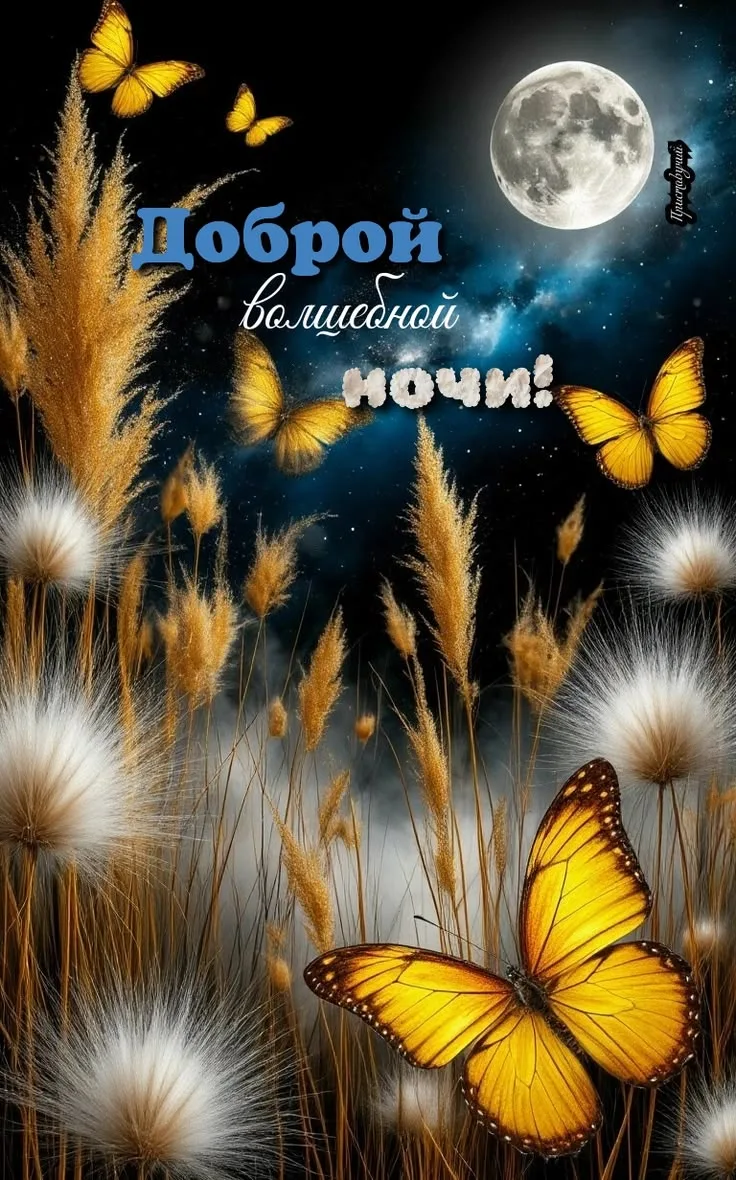 #ночь