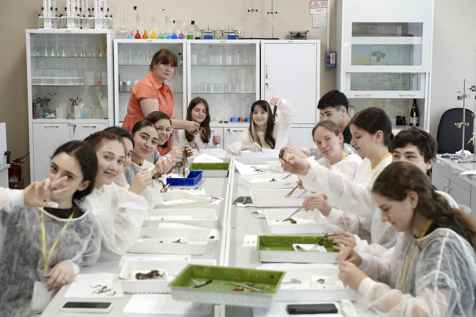🦞 Занятие дня — строение ракообразных!

Вместо того чтобы просто рассматривать картинки в учебнике,