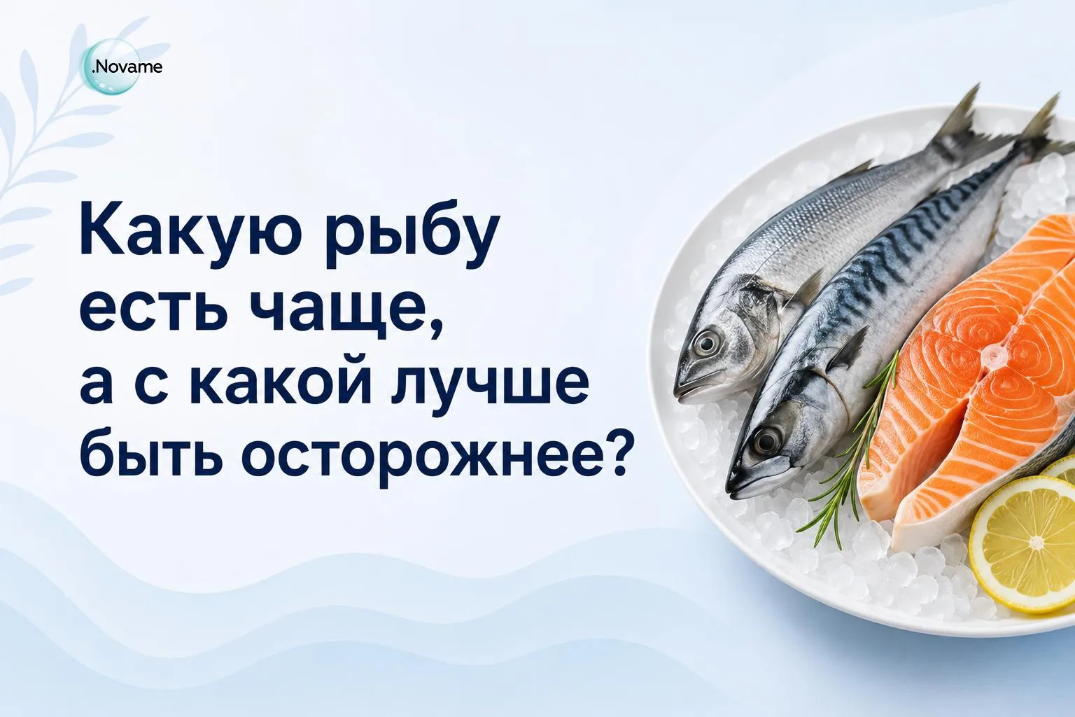 Какую рыбу есть чаще, а с какой лучше быть осторожнее?

Рыба может быть отличным продуктом для рацио