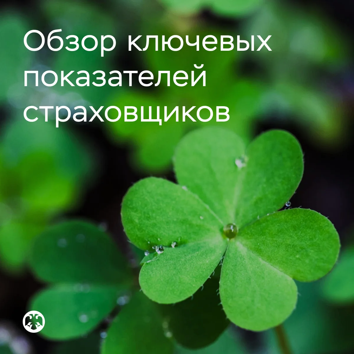 #КлючевыеПоказатели страховщиков