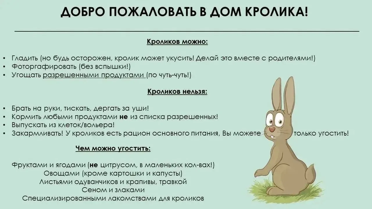 У нас появились новые жители 🐰