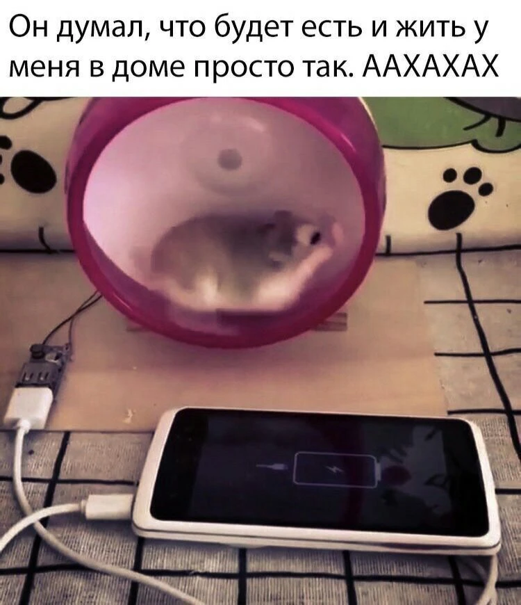____________________
Помощь со всеми видами работ

👉Заказать помощь в MAX
👉Заказать помощь в Teleg