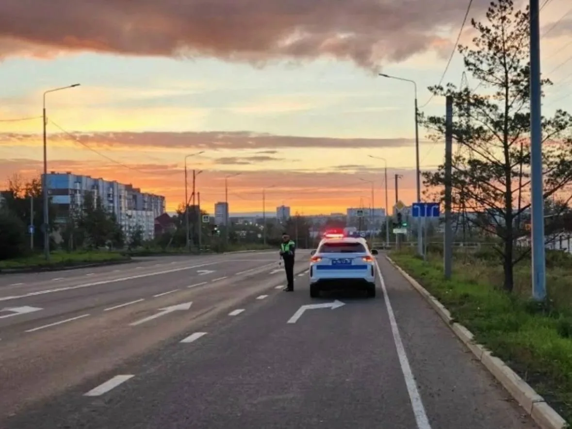 В Братске и районе с 4 по 6 сентября пройдут массовые проверки водителей на состояние о...