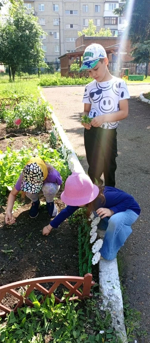 🥕ВЕСЕЛЫЙ ОГОРОД🍅
После длинных выходнях ребята подготовительной группы № 1 побежали на свой огород