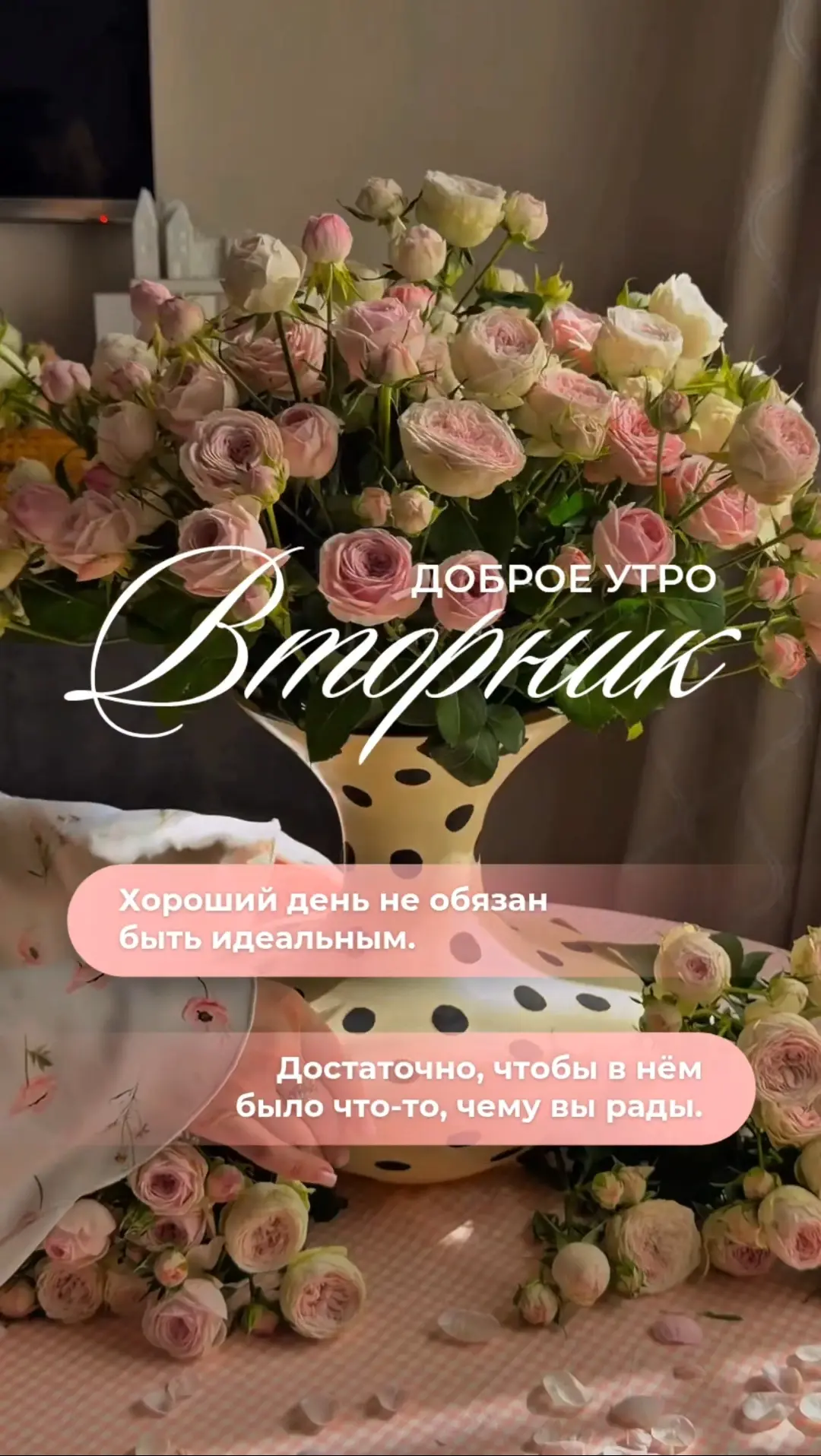 Хороший день не обязан быть идеальным. Достаточно, чтобы в нём было что-то, чему вы рады.