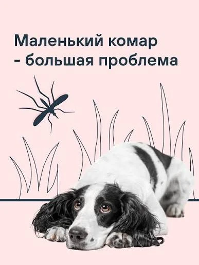 ‎ В теплое время года комары появляются повсюду — в лесах, на дачах, у водоемов и даже ...