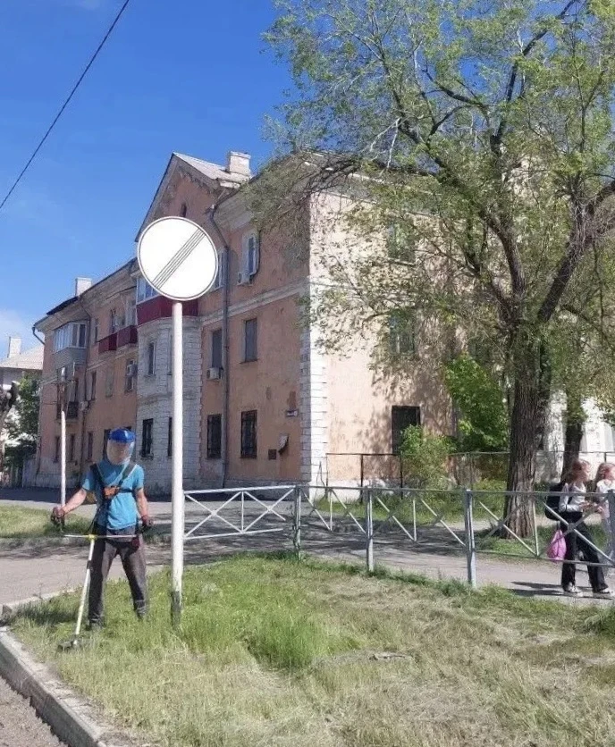 Добрый день, друзья!  Дождей в этом году много. Хорошо для садов и огородов, плохо для аллергиков. С