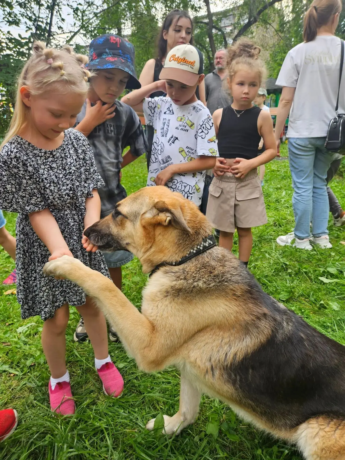 🐶«Хвостатый доктор» : терапия искренностью