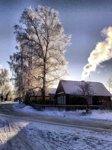 Ты, сынок, не приезжай к нам больше!Живут старики в своём маленьком старом домике, но о...