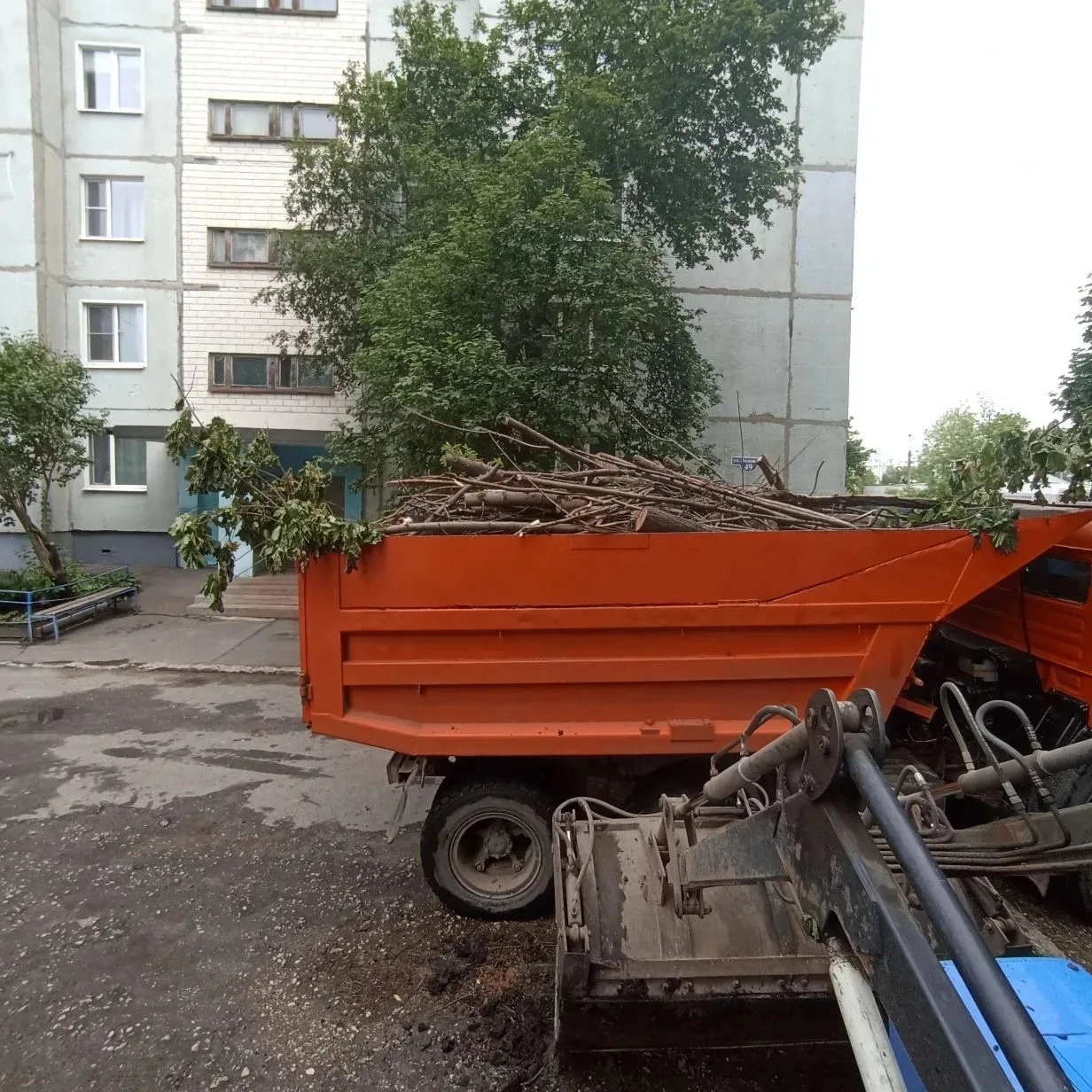 Удачной недели, дорогие жители! 🍀