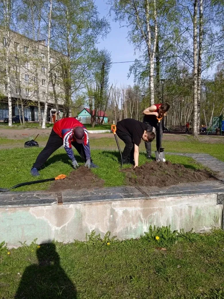 Территория нашего города стала еще уютнее и красивее благодаря инициативе обучающихся н...