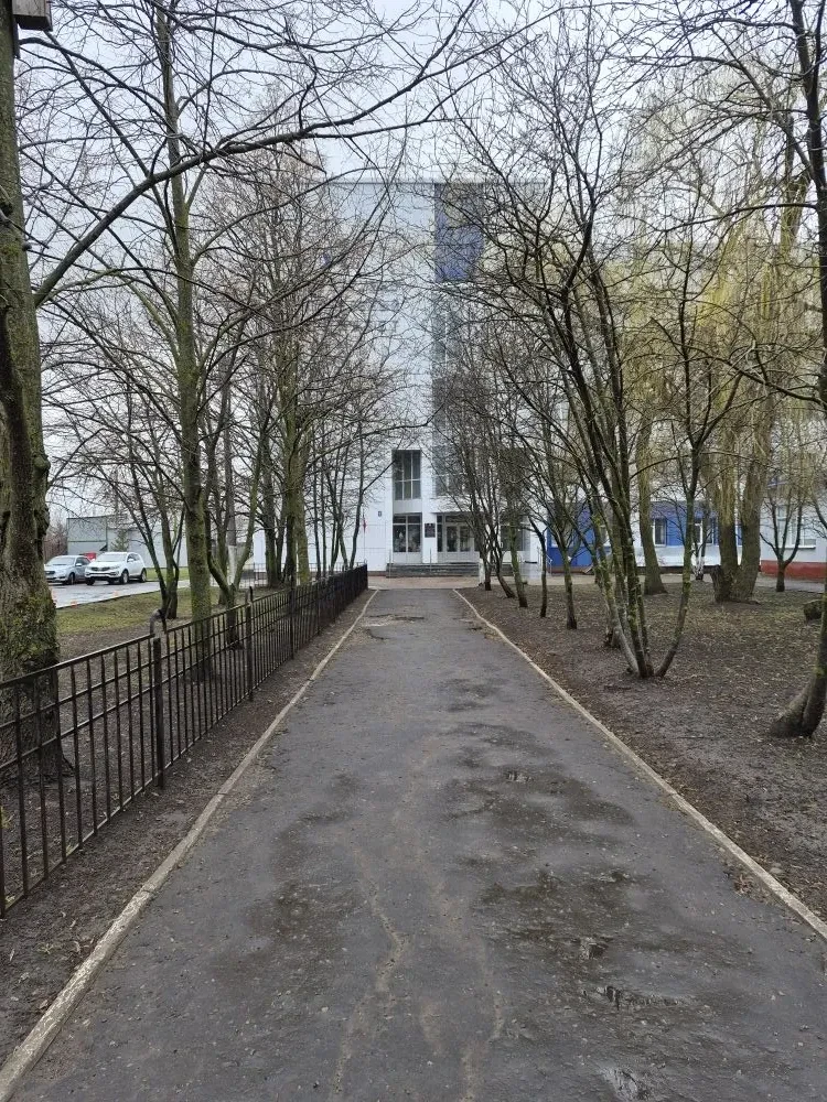 Эстетика пути: смотрим, как меняется наш институт в любую погоду  Дорога под названием «ПОТОМ» ведёт