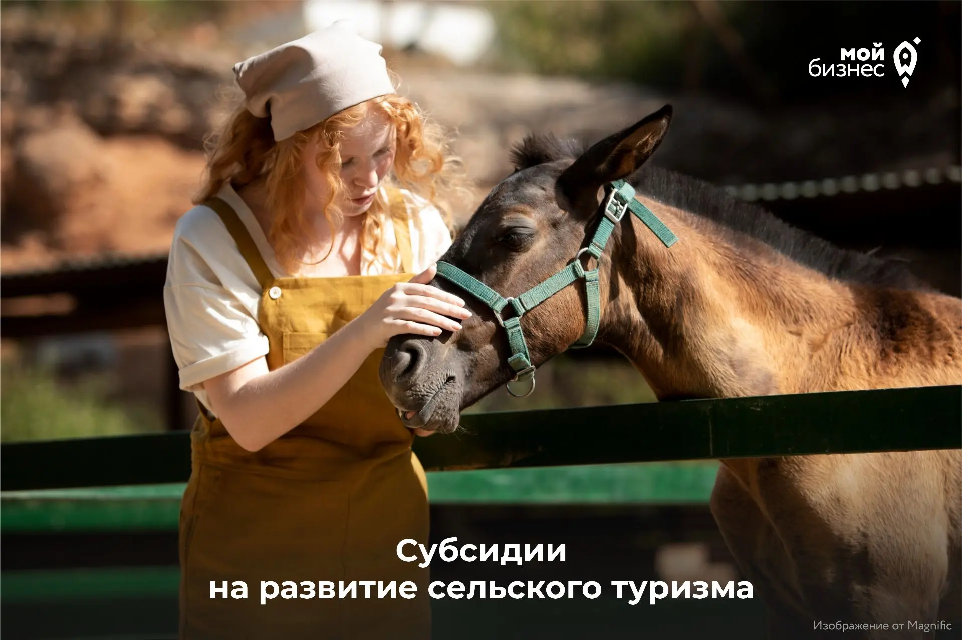 Минсельхоз региона объявляет дополнительный отбор на предоставление субсидий на развити...