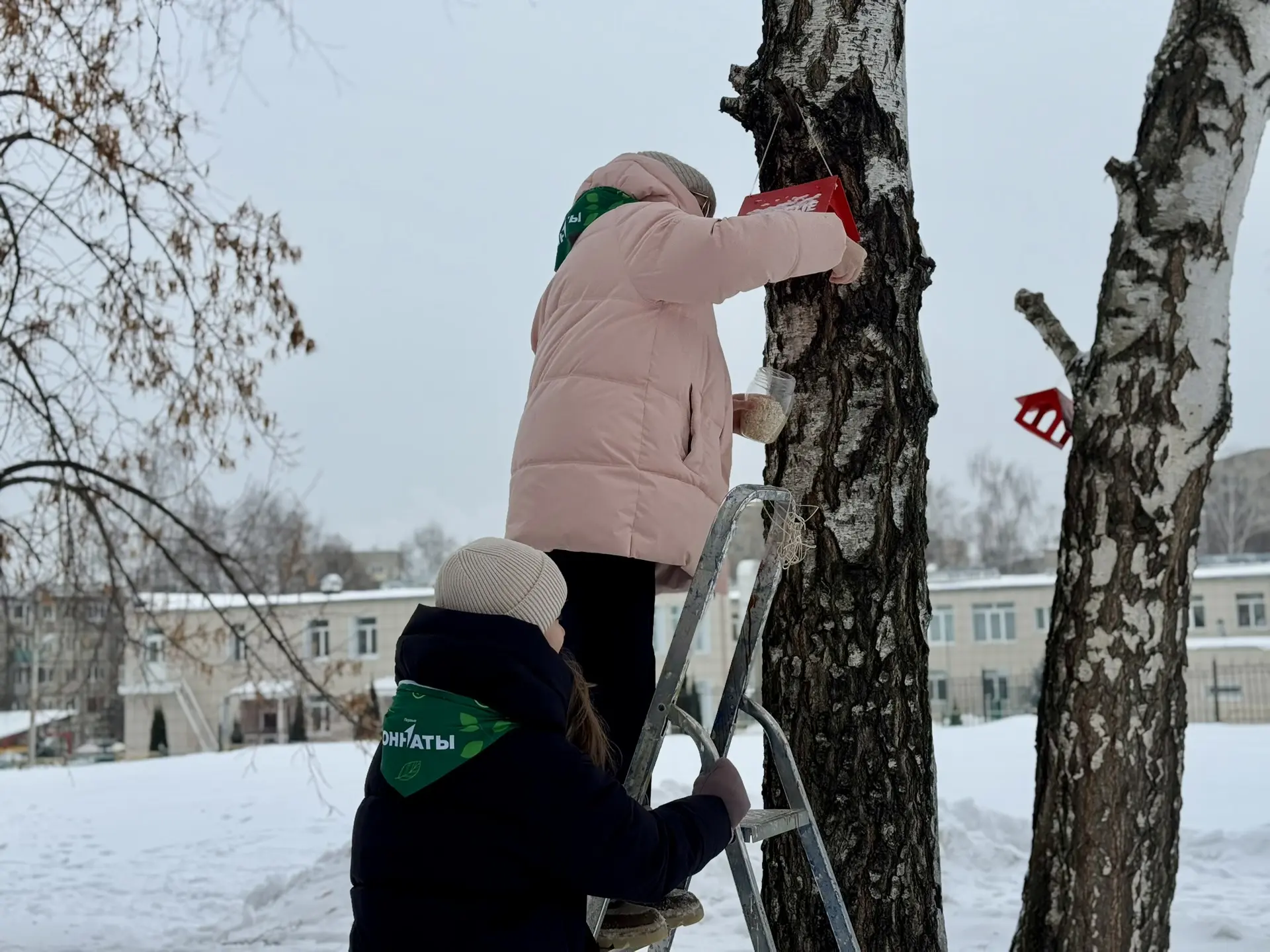 🐦В преддверии Дня зимующих птиц, который в нашей стране отметят 15 января, участники волонтерского о