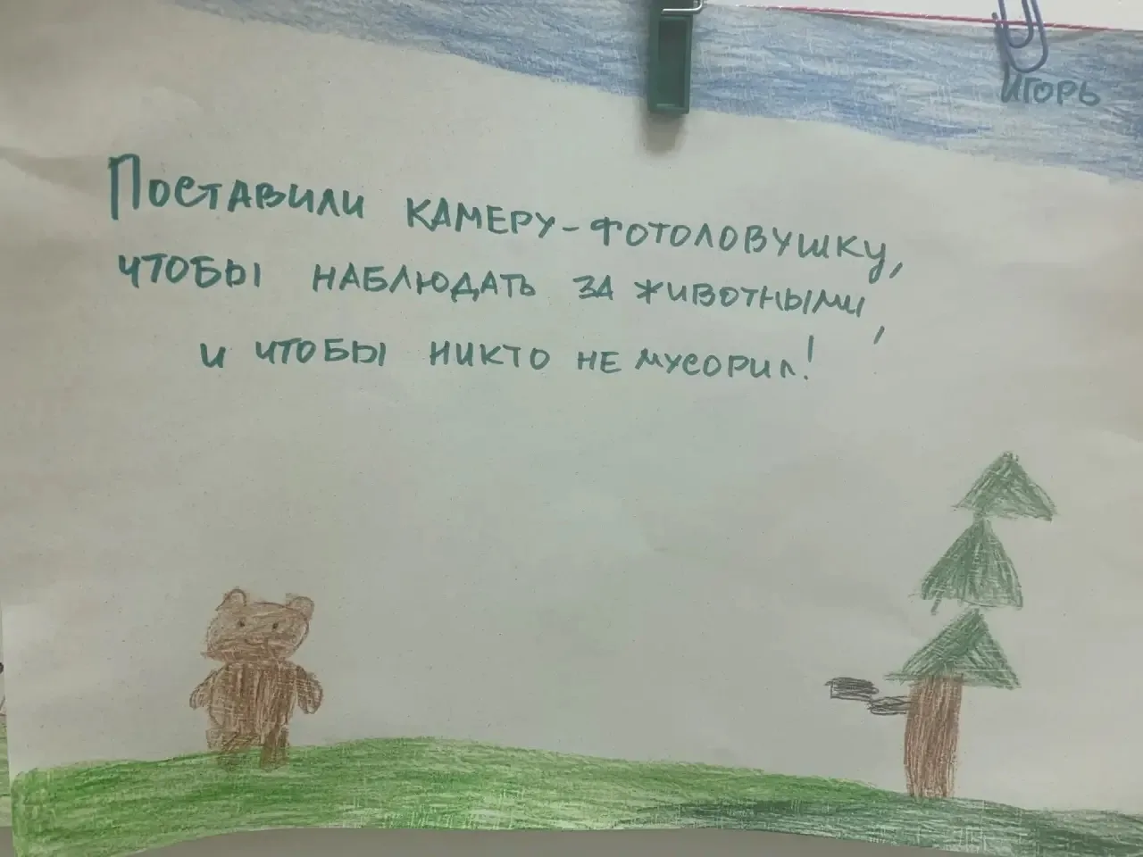 🎉✨ Неделя ЭКО-ЧУДЕС подошла к концу.
Мы не просто учились — мы путешествовали по царству природы От