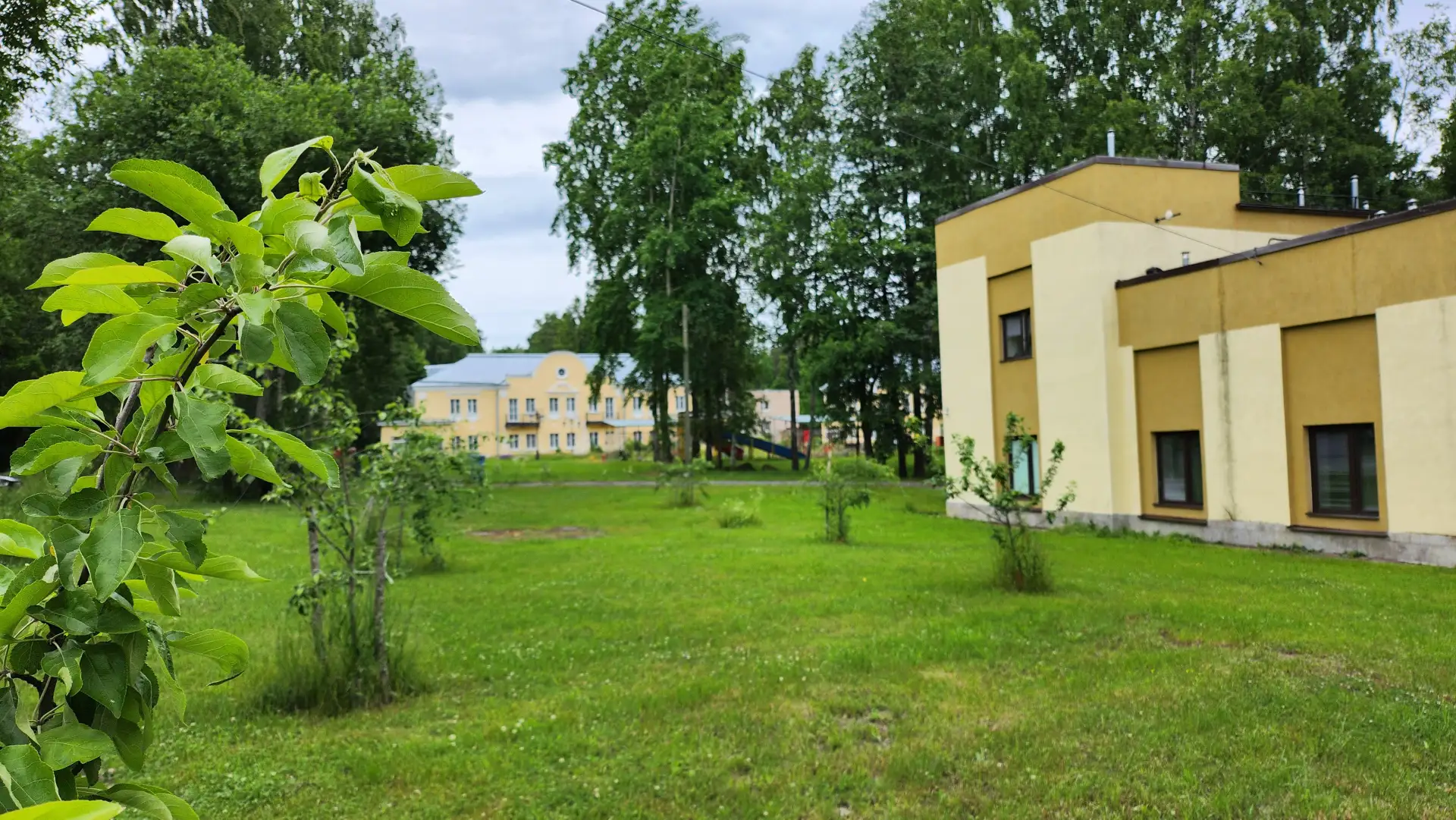 Доброе утро, Парус!😊