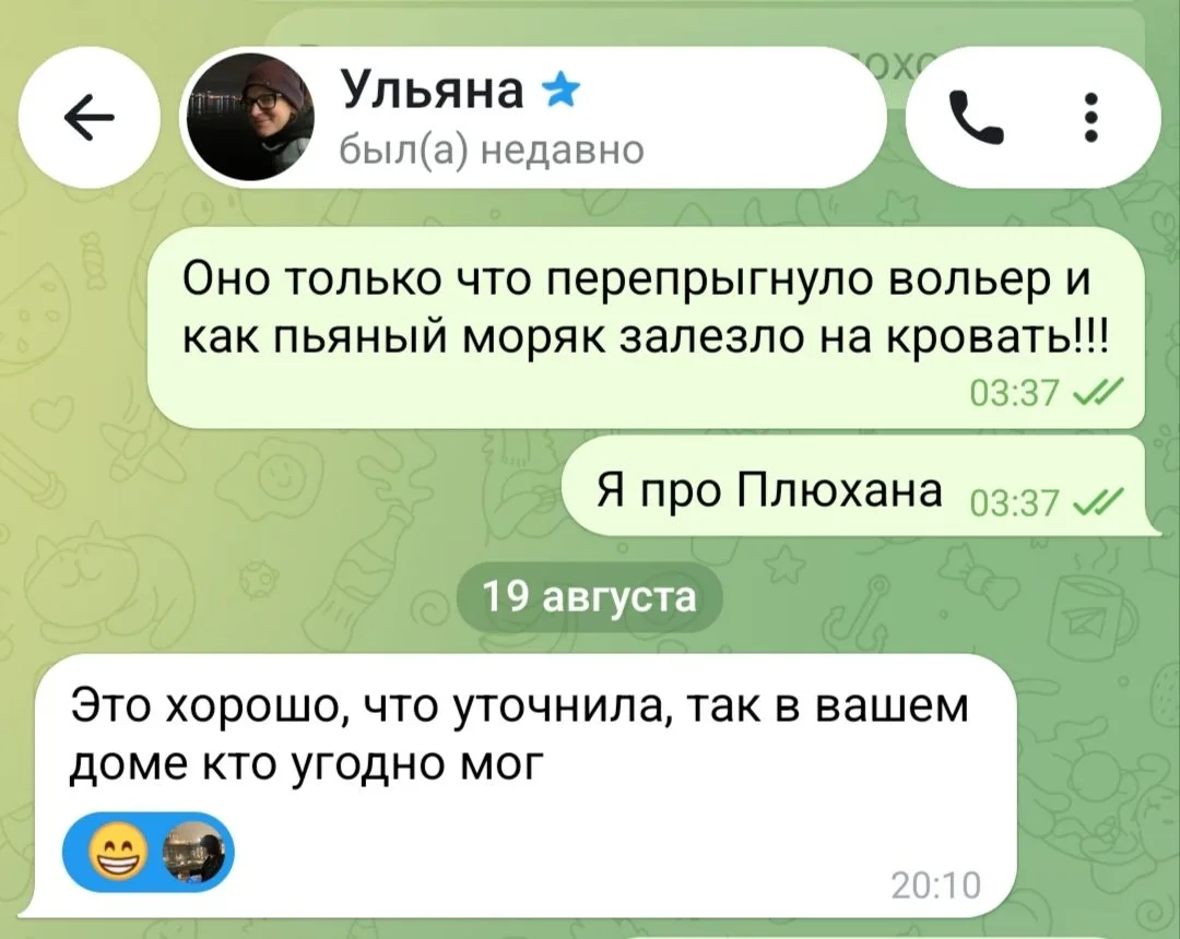 И в эфире рубрика "Выбранные места из переписки с друзьями"