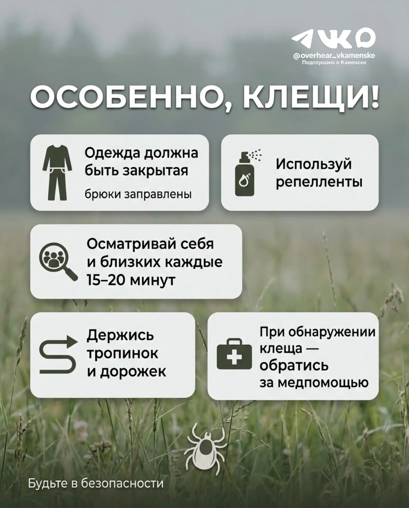 🪲 Внимание клещи! 

Спасатели бьют тревогу — сезон клещей в разгаре, так что лучше перестраховаться