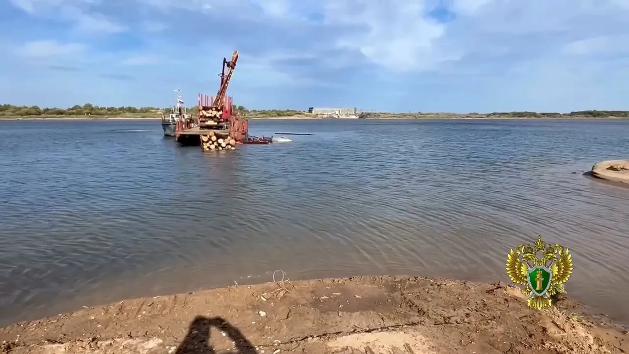 Паром на Северной Двине повредил потерявший управление водитель лесовоза