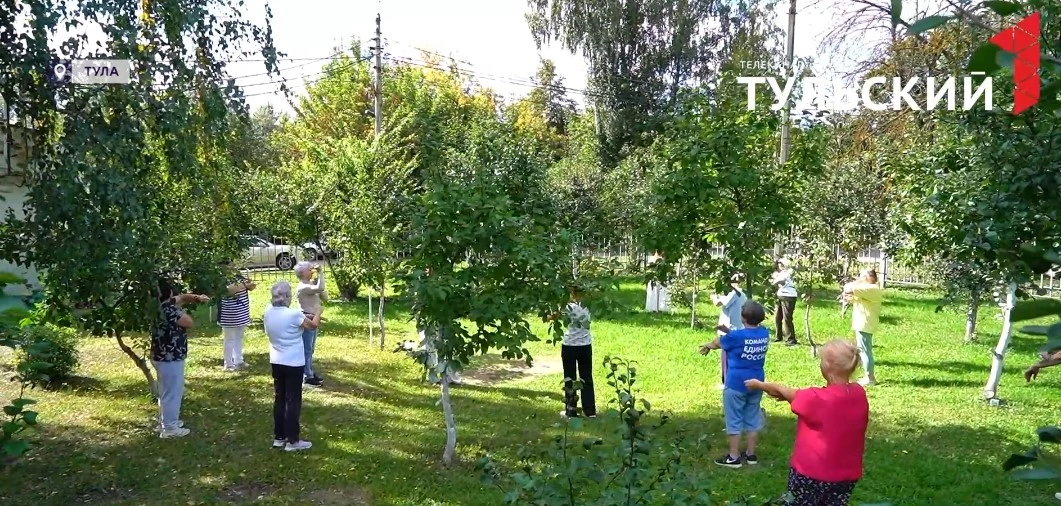 🌿 Туляков приглашают на занятия по программе «Активное долголетие»