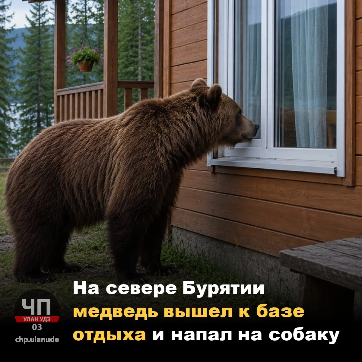 😱 На севере Бурятии медведь вышел к базе отдыха и напал на собаку

Хищника заметили на 42-м километ
