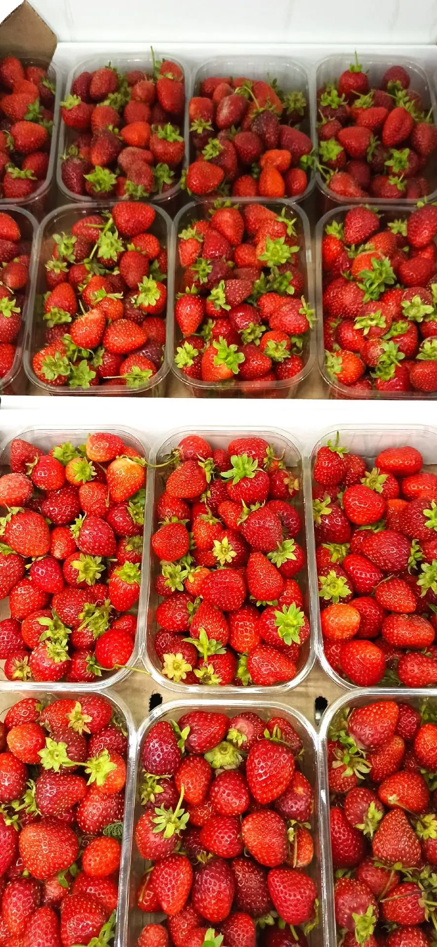 🍓 Клубника в наличии, ягода мелкая.