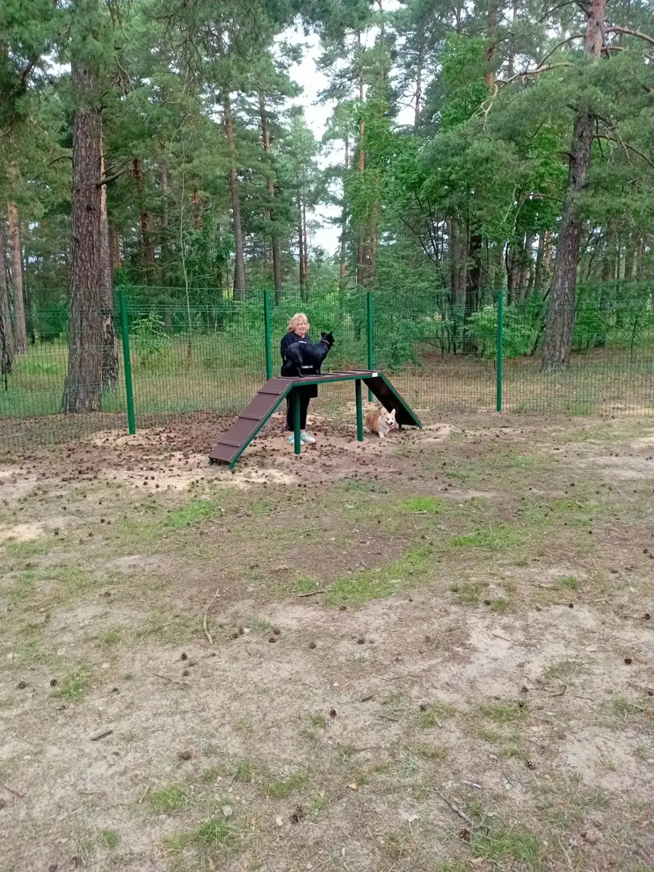 🐕 В парке «Молодёжный» открылись долгожданные площадки для выгула собак!

Ну что, дождались! 🎉

Те
