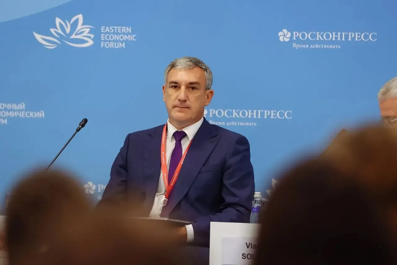Стратегию социально-экономического развития ДФО до 2030 года с прогнозом до 2036 года о...