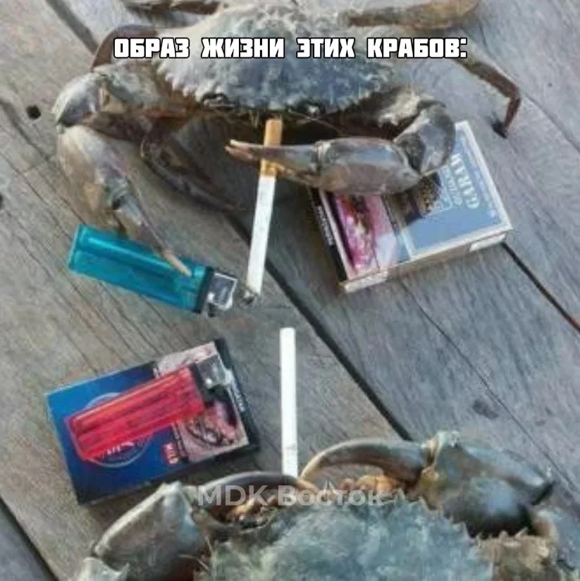 🦀 В 154 тоннах живого краба нашли избыток мышьяка