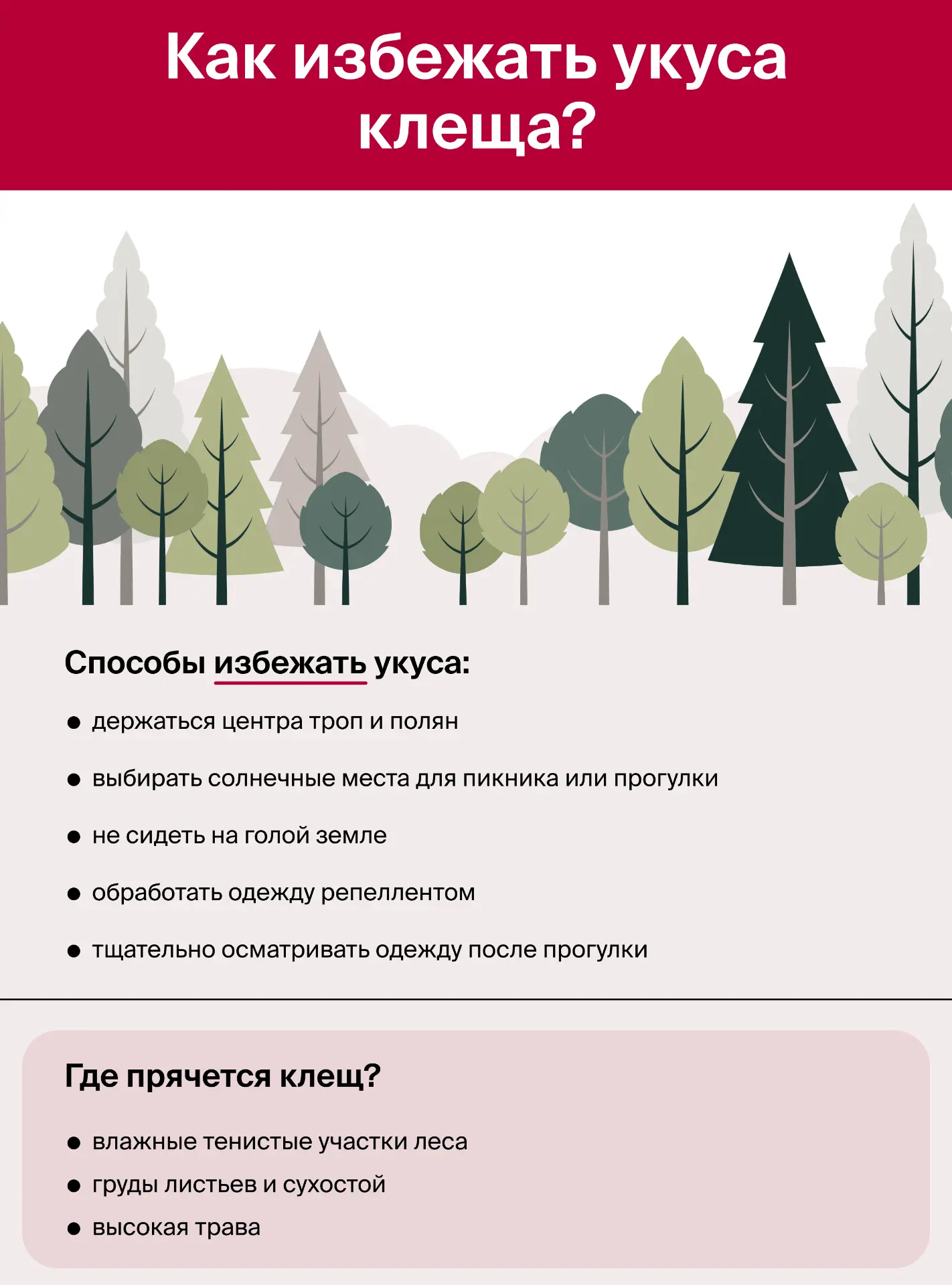 Маленький, цепкий и весьма опасный — все это о клеще