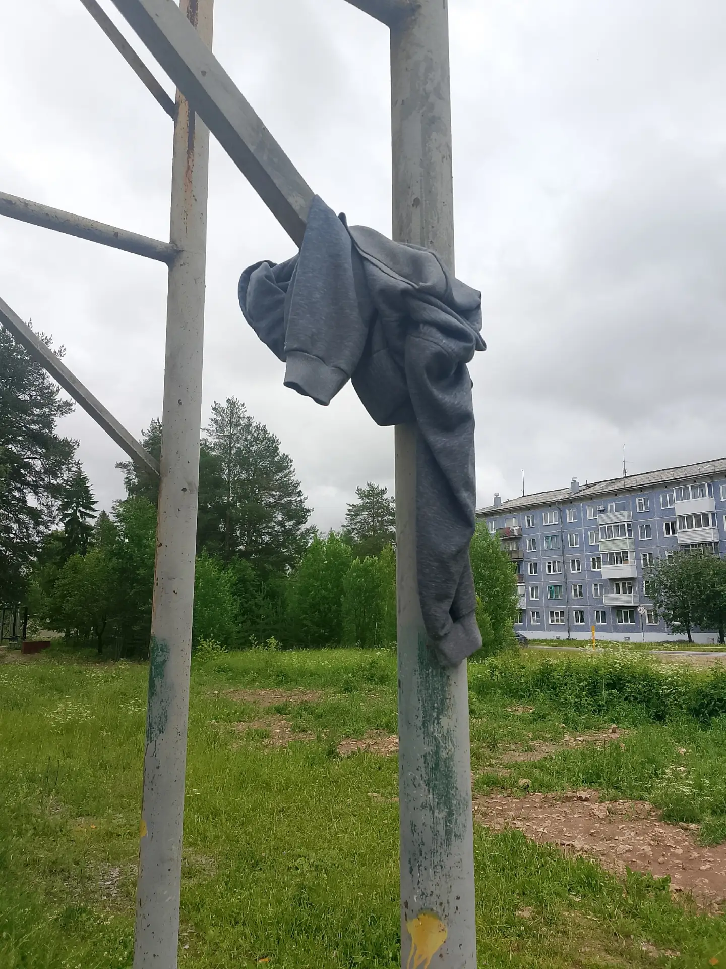 Чья потеряшка, вымокшая под дождём...