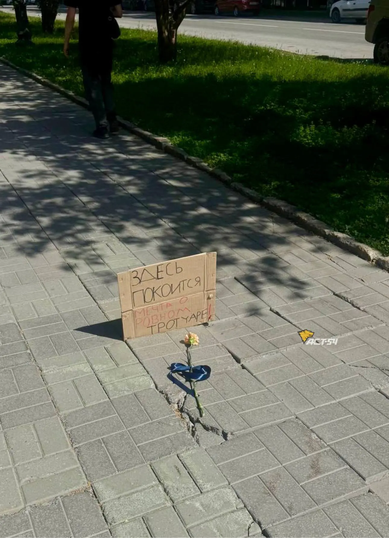 😅 В Новосибирске появился стихийный памятник мечте о ровном тротуаре

На картонке рядом с гвоздикой