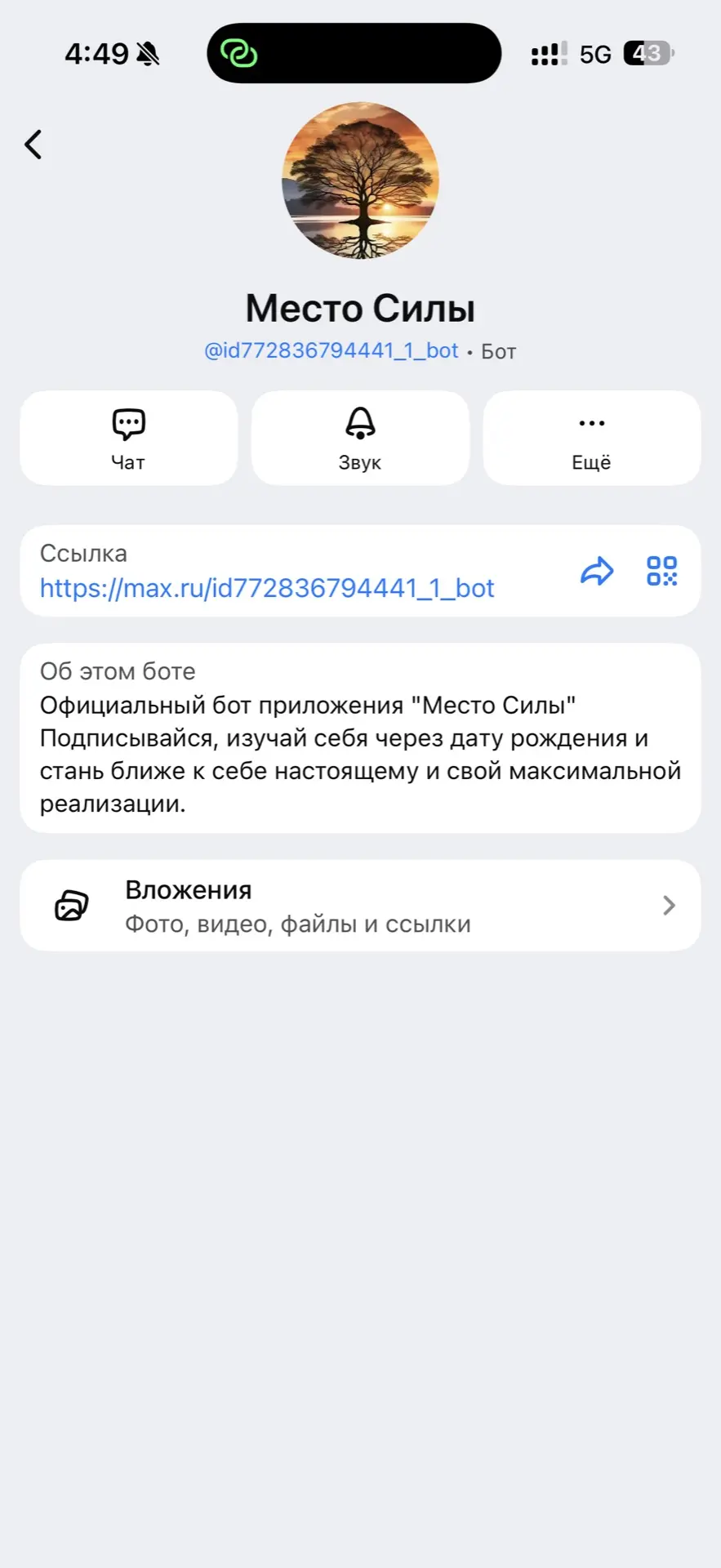 Вайбкодится уже все!