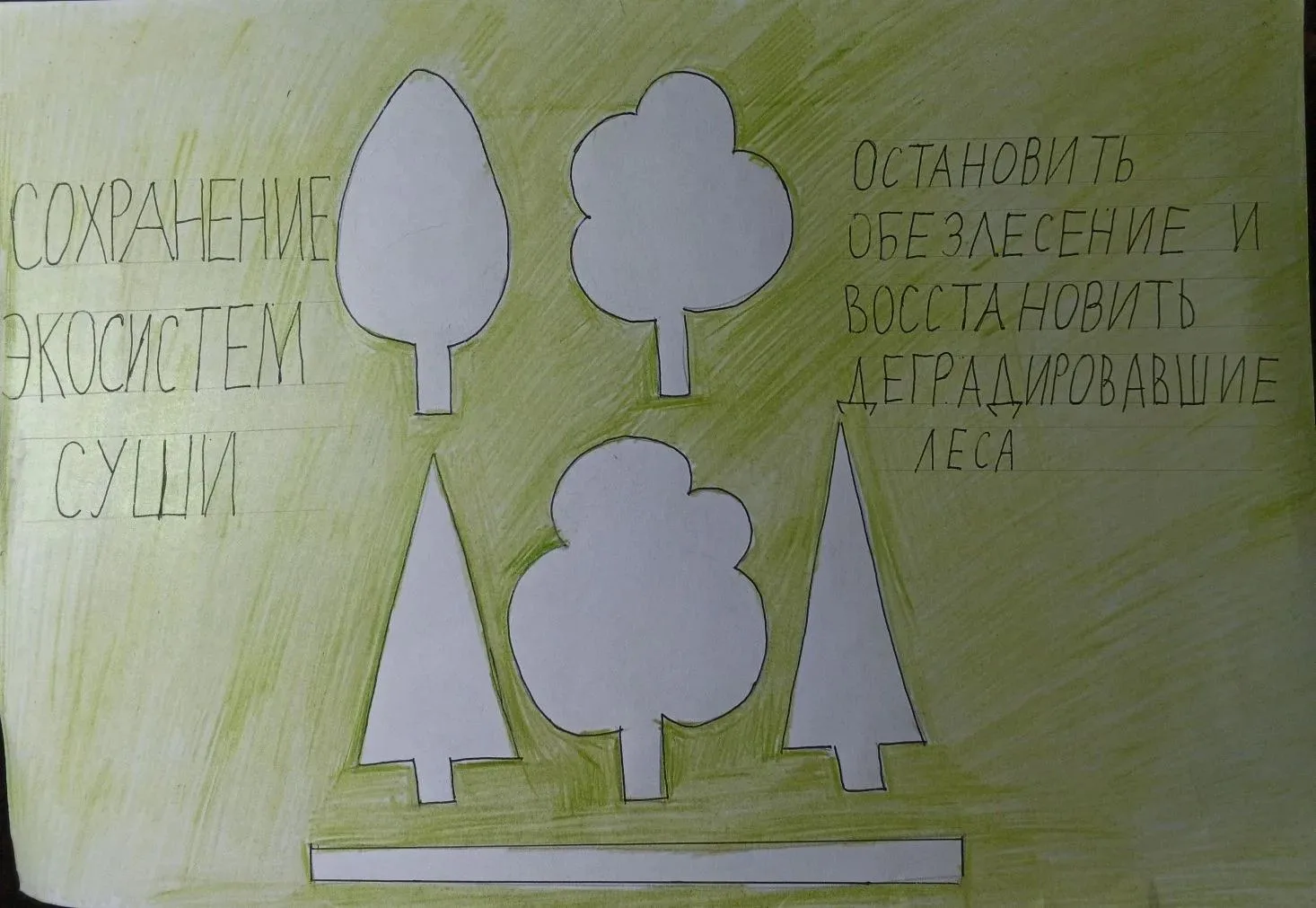 🎨 Наши ученики — на международной арене!  С гордостью сообщаем, что обучающиеся МАОУ СОШ № 48 стали 