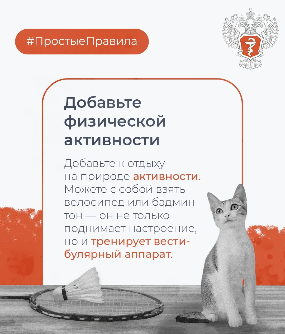#ПростыеПравила: Минздрав России рассказал, как провести майские праздники без вреда для здоровья  М