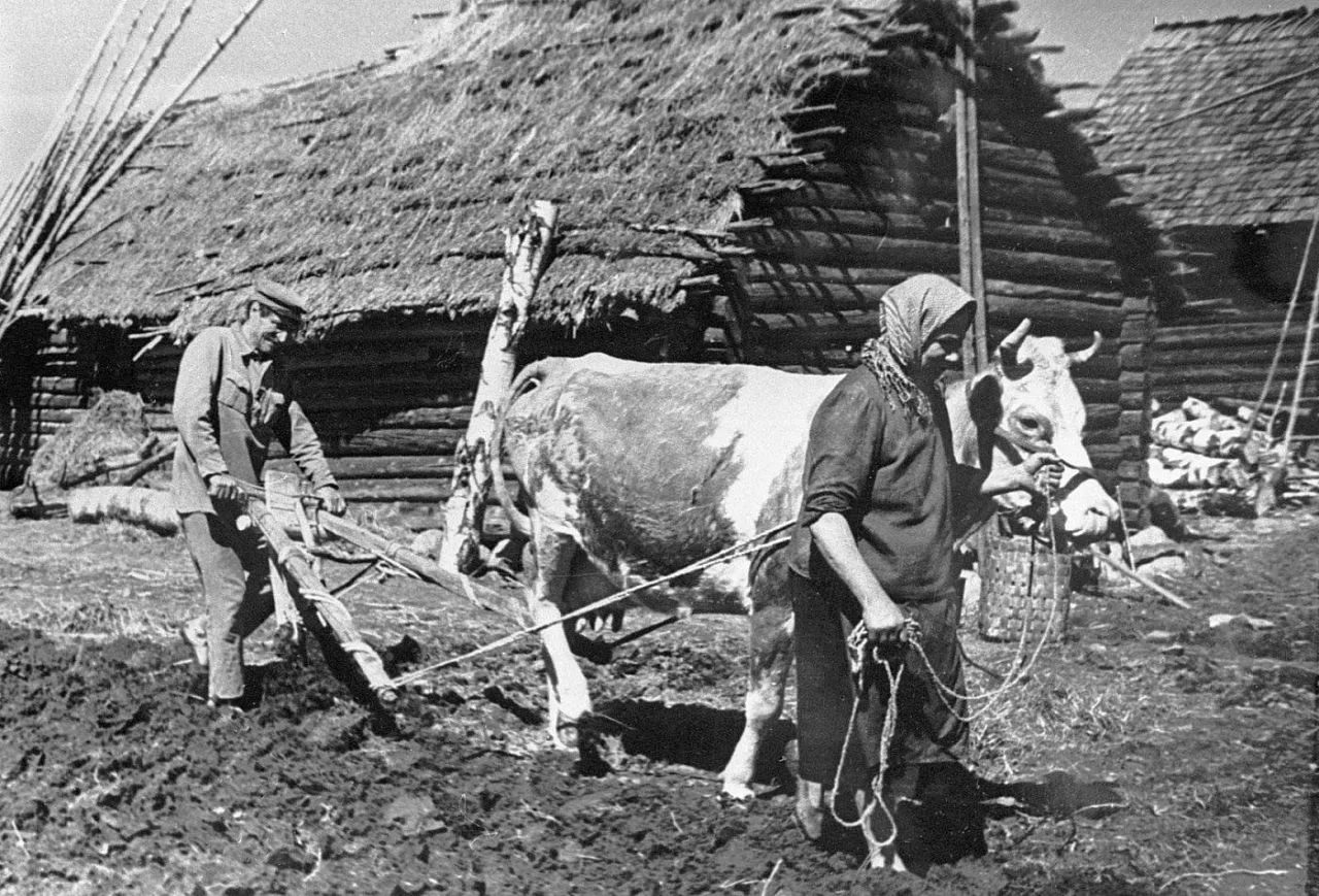 Репа – мать, горох – отец

Какие овощи кормили переселенцев в Югре XVII–XVIII веков и как им удавало